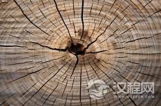 穿越《三国演义》:体验古代战争的残酷与智慧