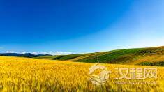 夏朝的农业技术与古代社会的生产力