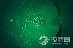 红楼梦中的“游戏人生”：古代贵族的娱乐方式