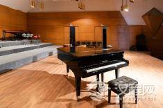 珍品乐器鉴赏与保养宝典