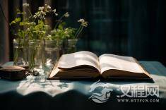 《红楼梦》中谁是最懂宝玉的人？