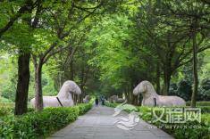 明孝陵的古今对话