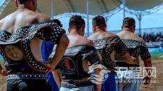 摔跤争霸——蒙古力士的角逐场