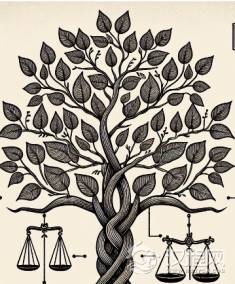 血缘纽带下的汉代家族法制解析