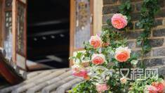 汉语表达的地道性与准确性