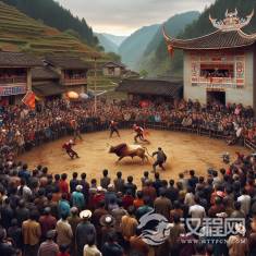 彝族传统节日中的斗牛文化