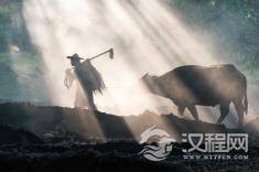 山水田园诗的意境赏析