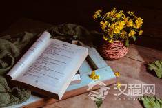 汉语规范标准与语言交流的效率