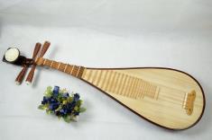 琵琶演奏艺术与技巧探微