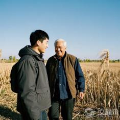 民间故事里的智慧老人，教你人生哲理