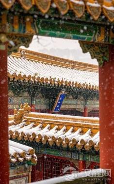 雍正焚毁的九千卷档案在掩盖什么？