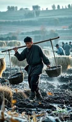 为何说白渠沉沙池里藏着古代