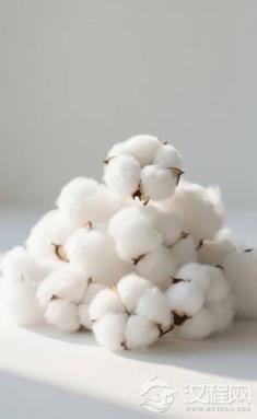 棉花如何从异域奇珍蜕变为改变中国文明进程的战略物资？