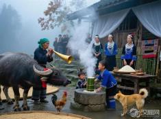 毛南族分龙节杀牛为何要留下完整的牛角