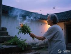 端午艾草别浪费！3招教你驱蚊防霉还安神？