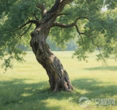 为什么说庄子的歪脖子树，藏着对抗内卷的最高智慧？