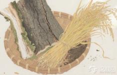 青檀皮和沙田稻草，如何造就“纸寿千年”的传奇？