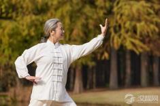 太极拳十三势的养生矩阵