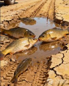 “呴湿濡沫（xǔ shī rú mò）”的温情，在当今社会是否过于理想化？​