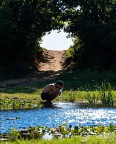 ​“䕃䕪 (yìn zé) 之乐”，树荫与泽畔，为何是古人心中最简单的闲适之乐？​