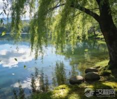 庭院中不种桑、柳，仅是因谐音不吉？