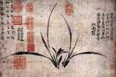 一株没有泥土的兰花