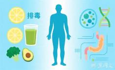 迷信“食物排毒”，你的身体可能根本不需要？
