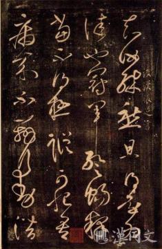 张芝的秘密不在快，在“停得住”