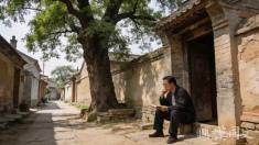 寻根文学:作家们为什么要回“老家”找灵感?