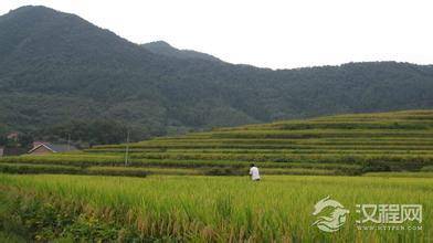 明朝的皇庄是什么样的？朱见深的皇庄都在哪