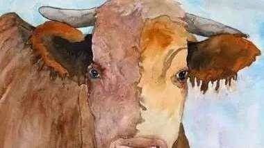 宋朝知名“租牛案”，刘文清刚上任是怎么破解的？