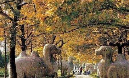 成王败寇，看完这几座墓地的对比，就能理解了