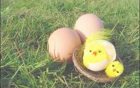 就因为吃鸡蛋的事情，差点被乾隆治了罪，这鸡蛋镶金了吗