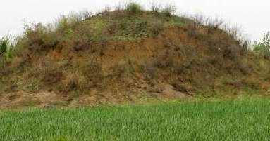 李白岳祖父、宰相许圉师陪葬恭陵，许圉师墓在哪