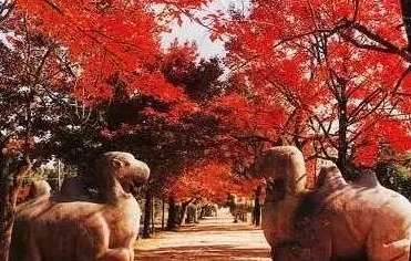 康熙参拜了6次，洪秀全、孙中山都祭祀的陵墓是谁的？