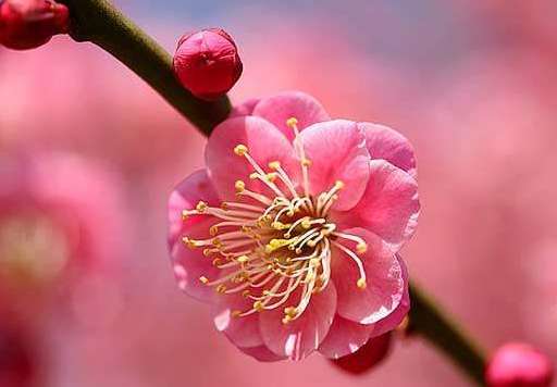 于琮是怎么当上驸马的？为什么换公主？