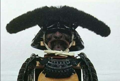 真男人佐竹义宣：一顿饭斩三十三员大将