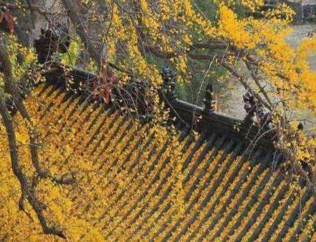 山东费县名人录——天知地知、你知我知的明朝首辅张四知