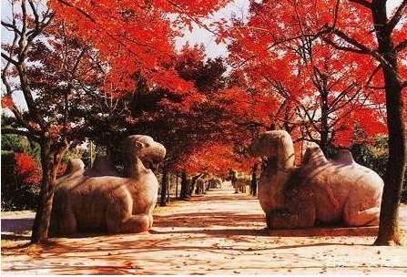 洪武之治---骑在“牛背”上的皇帝朱元璋