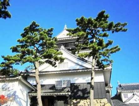 关于松平清康的评价如何？松平清康是一个怎么样的人