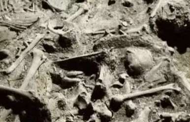 白起坑杀了40万赵军？专家发现事实真相