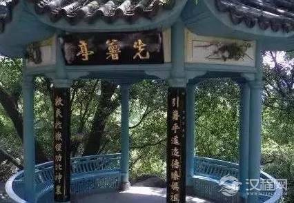 陈振农为什么要冒死带番薯藤回国？原因是什么