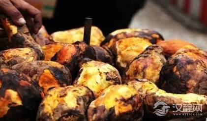 陈振龙：从海外带回一根藤，成甘薯之父