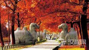 朱元璋修建陵墓却不移开孙权墓：留其为自己看门