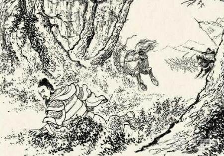 “河北四庭柱”之一的张郃真的是肉头吗？张郃是个怎么样的人？