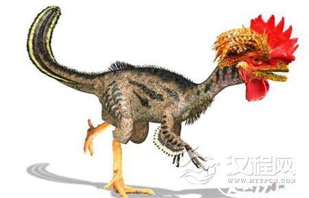 鸟和鸡是恐龙演化