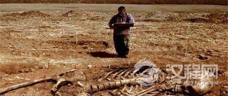 你所不知道的巨人遗骸