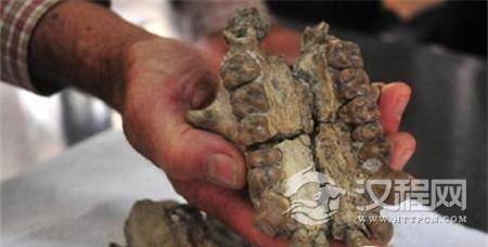 墨西哥城附近遗址现上百头骨