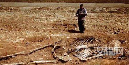 史前文明：真的曾有高一级人类出现过?