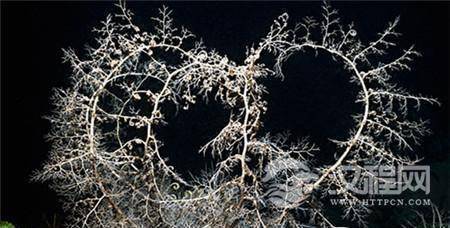 科学家或发现30亿年前的超古老浮游生物